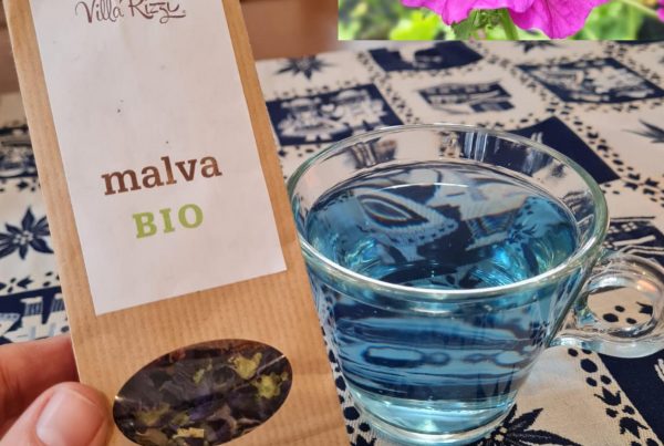 Immagine art 11nov22