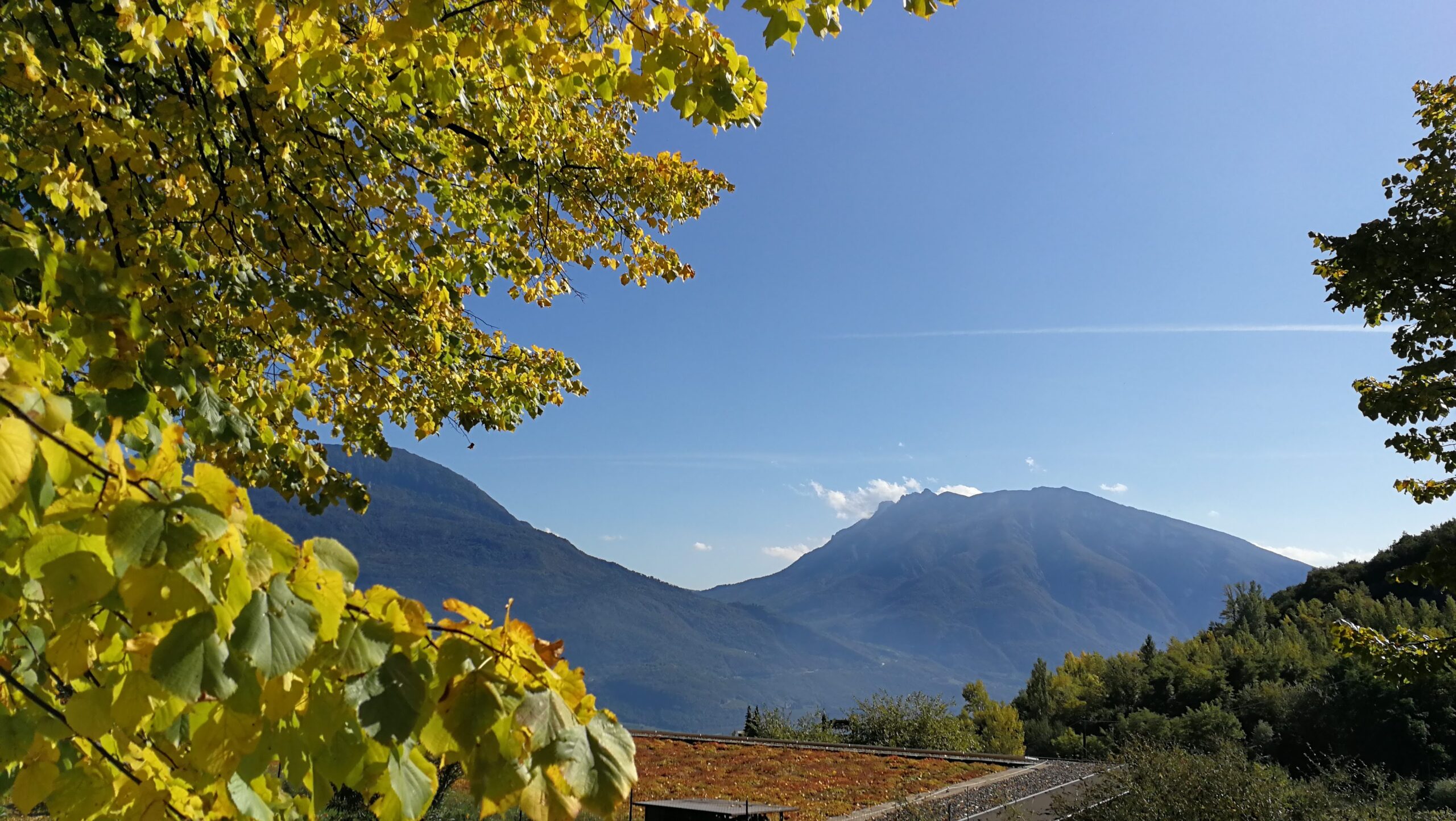 Villa Rizzi: tra agricoltura biologica e sociale