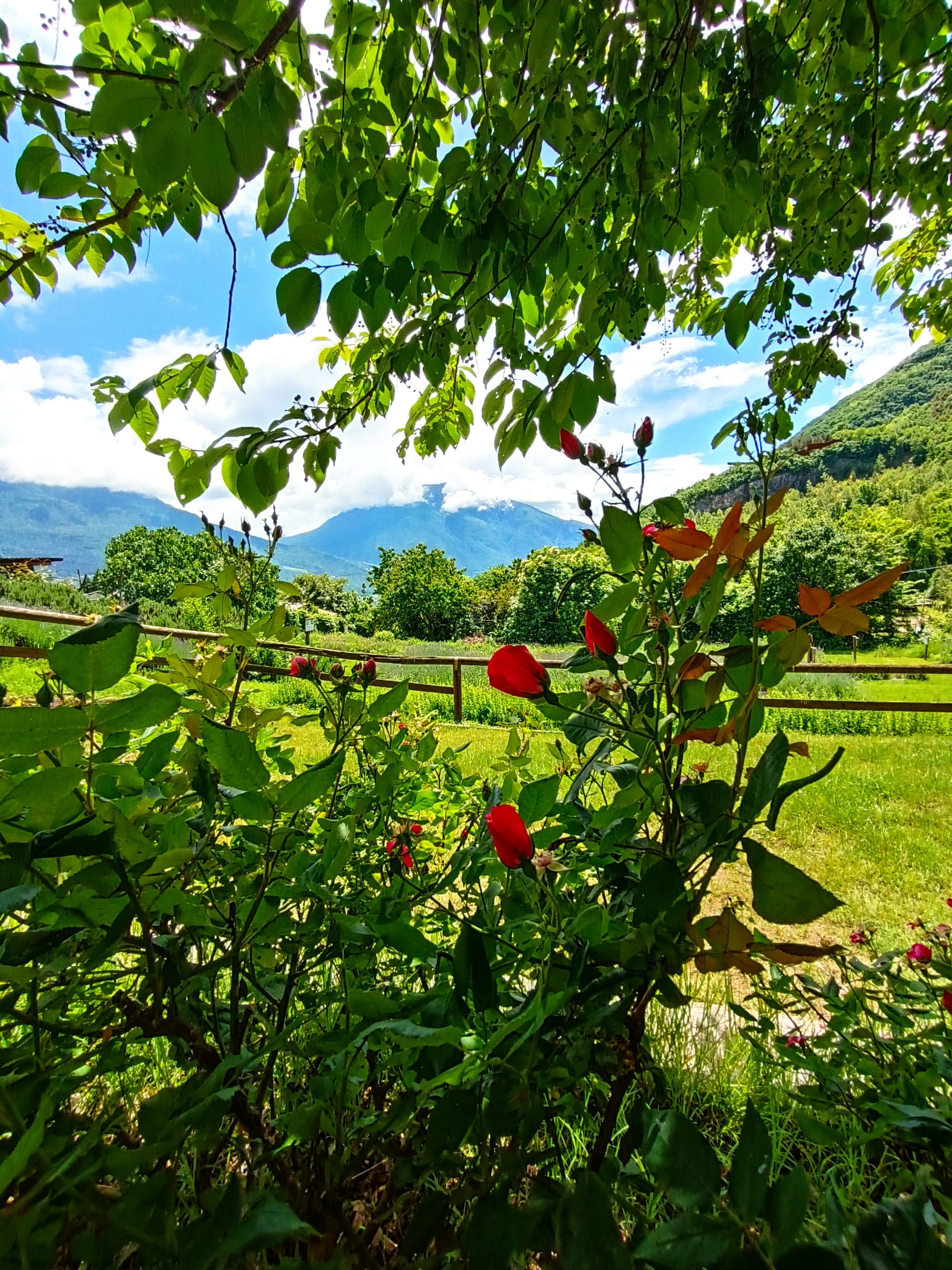 La fattoria didattica a Villa Rizzi!