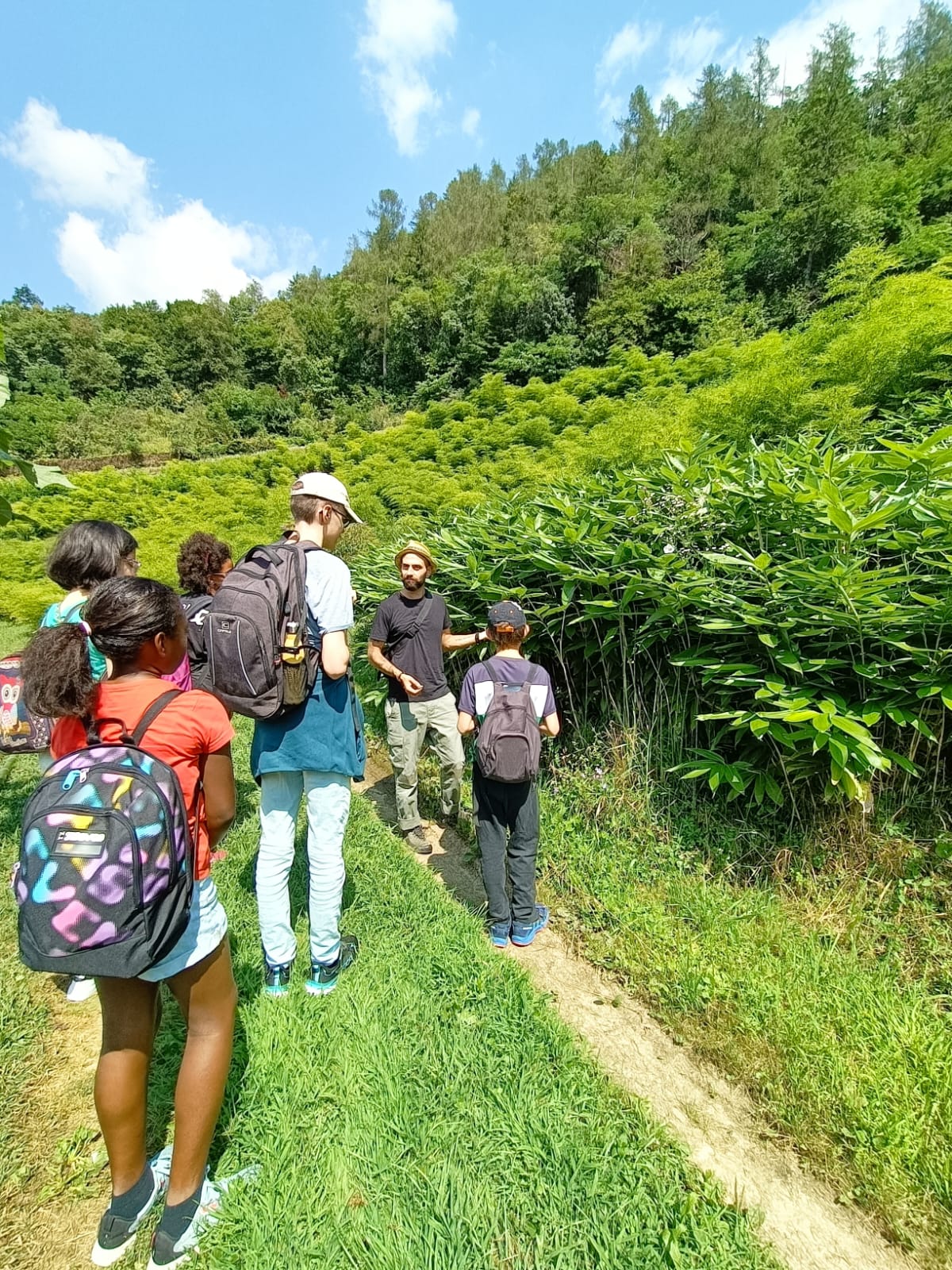 Logical Forest, una foresta di Bamboo tutta da scoprire! – Valle del Chiese