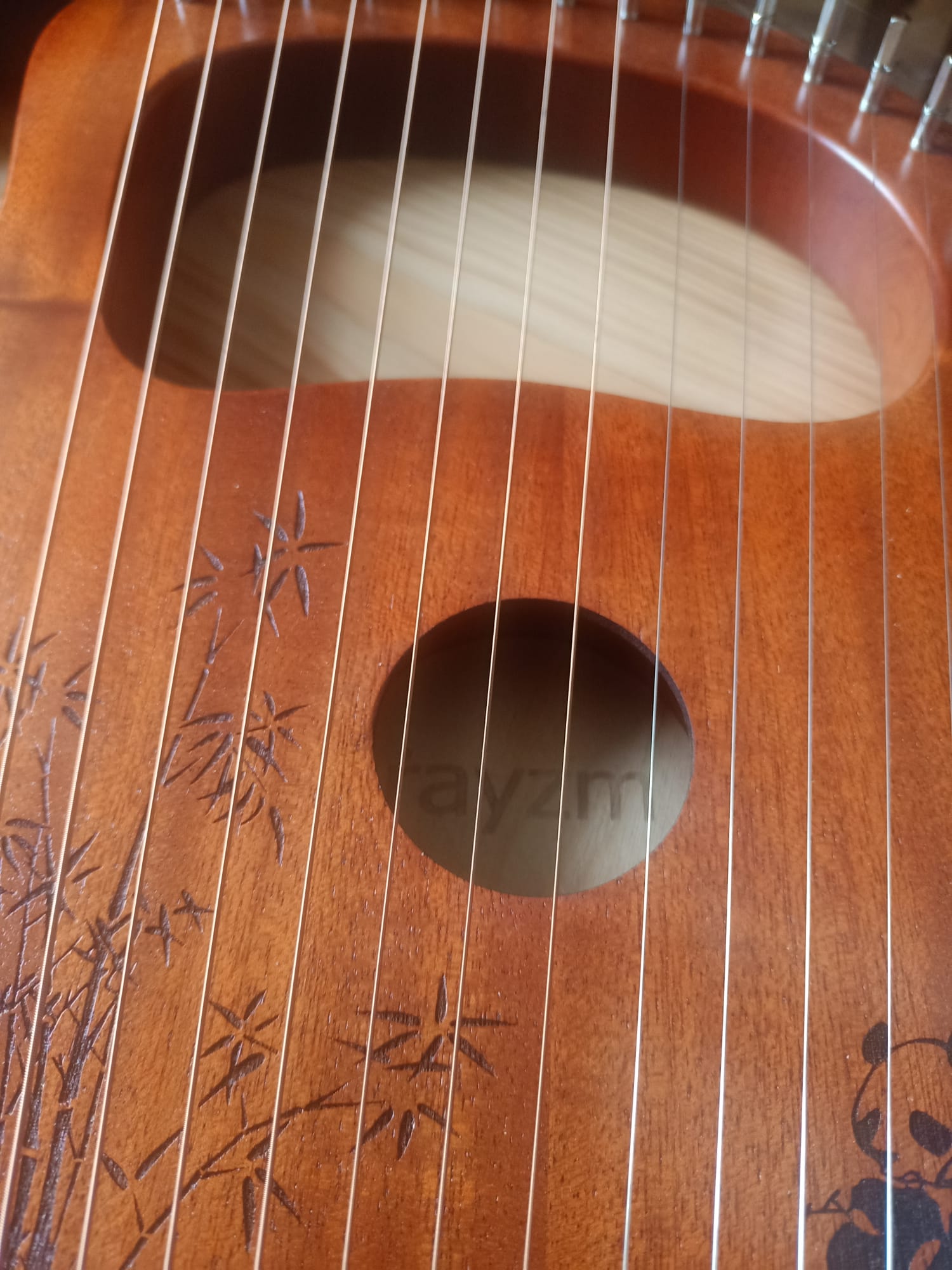 Attività di musica – Rovereto