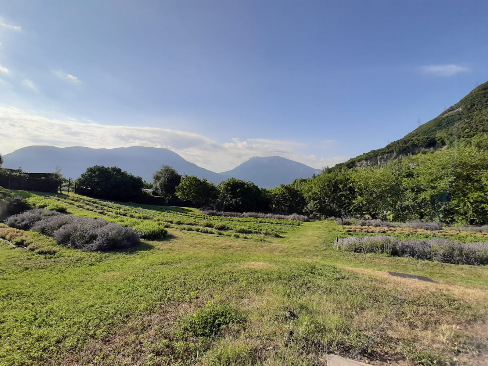 Villa Rizzi e i lavori di maggio