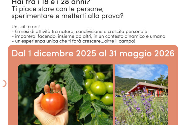 Oltre al campo villa rizzi