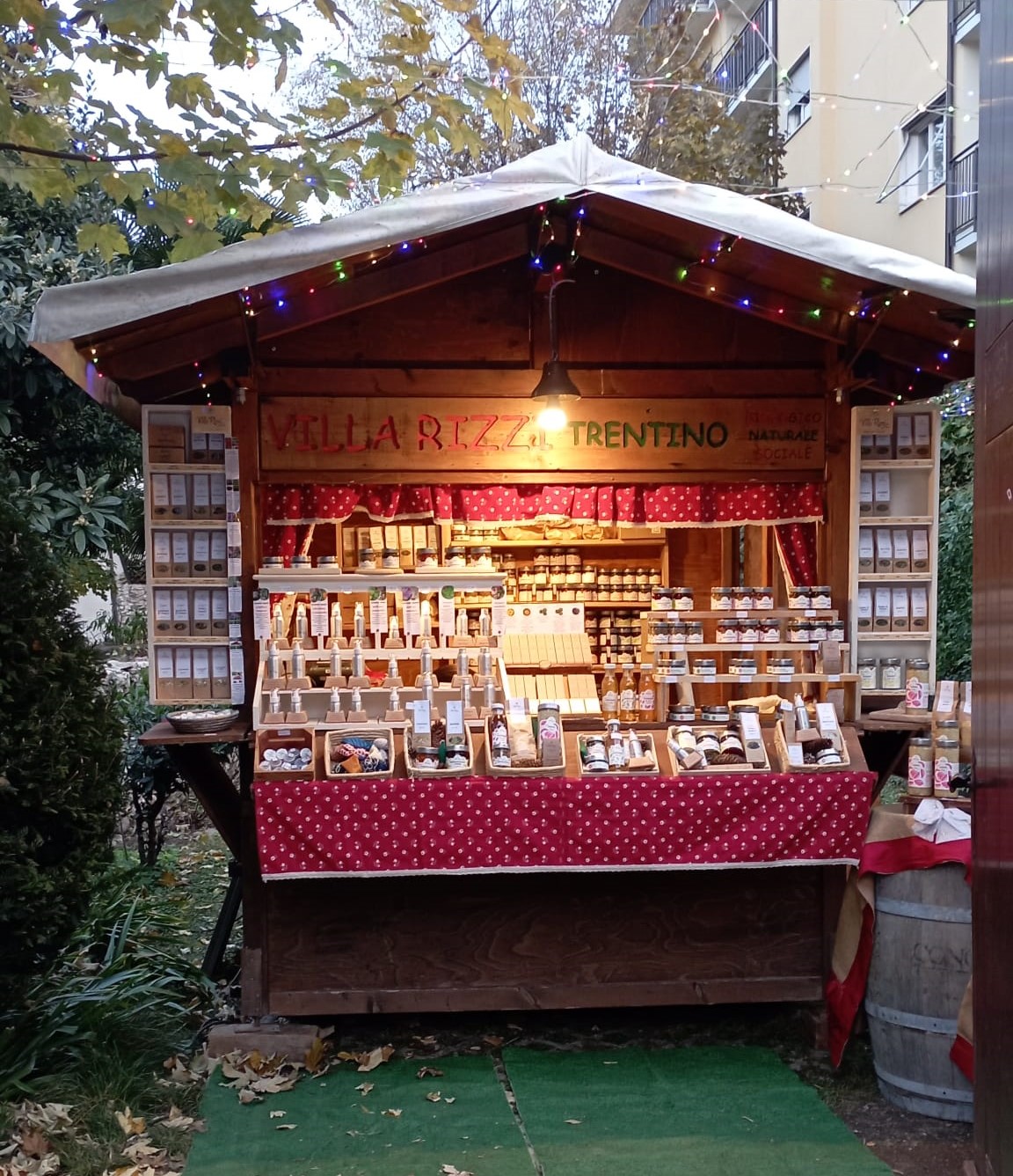 Mercatini di Natale: Un’Ondata di Entusiasmo a Villa Rizzi!