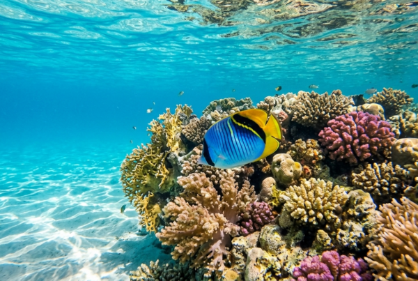 Gemini Generated Image s1txd4s1txd4s1tx