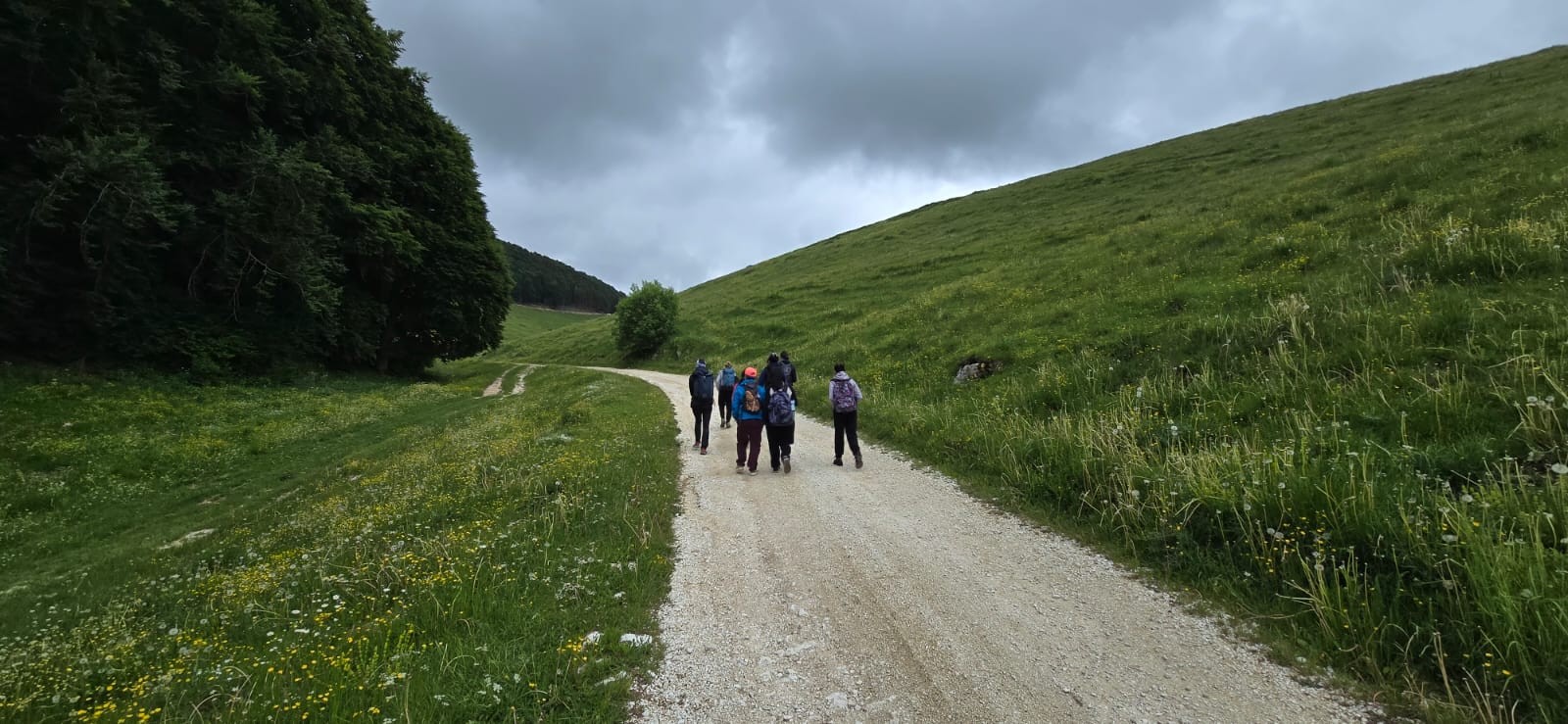 Orientarsi insieme nel Bosco della Regina