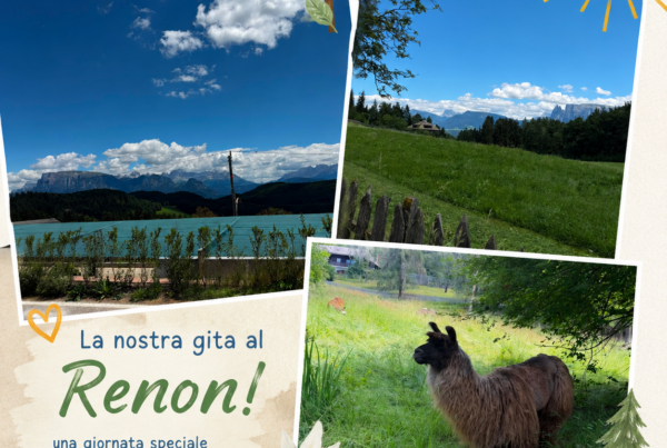 Gita al renon