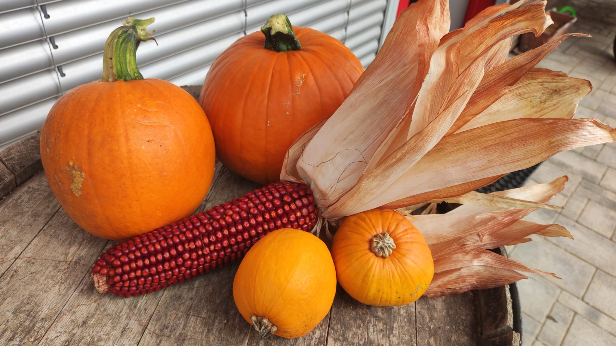 Inizia l’autunno! – Villa Rizzi