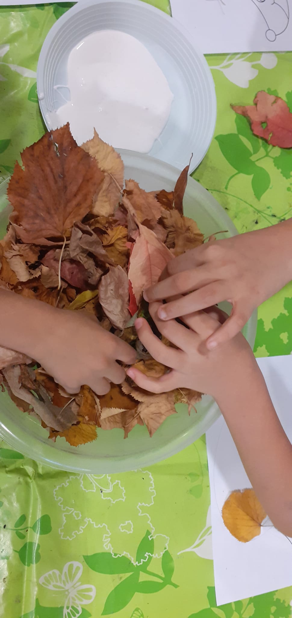 L’autunno al Centro: tra foglie, colori e ricci creativi! – Laives
